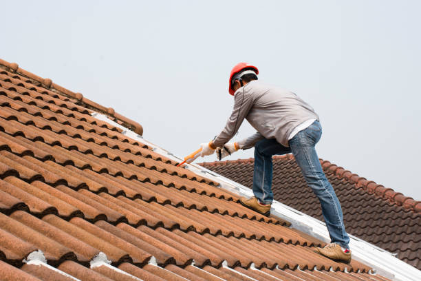 Best Roof Coating and Sealing  in Jasper, TN